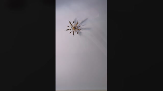 martinabigst  12-07-2022